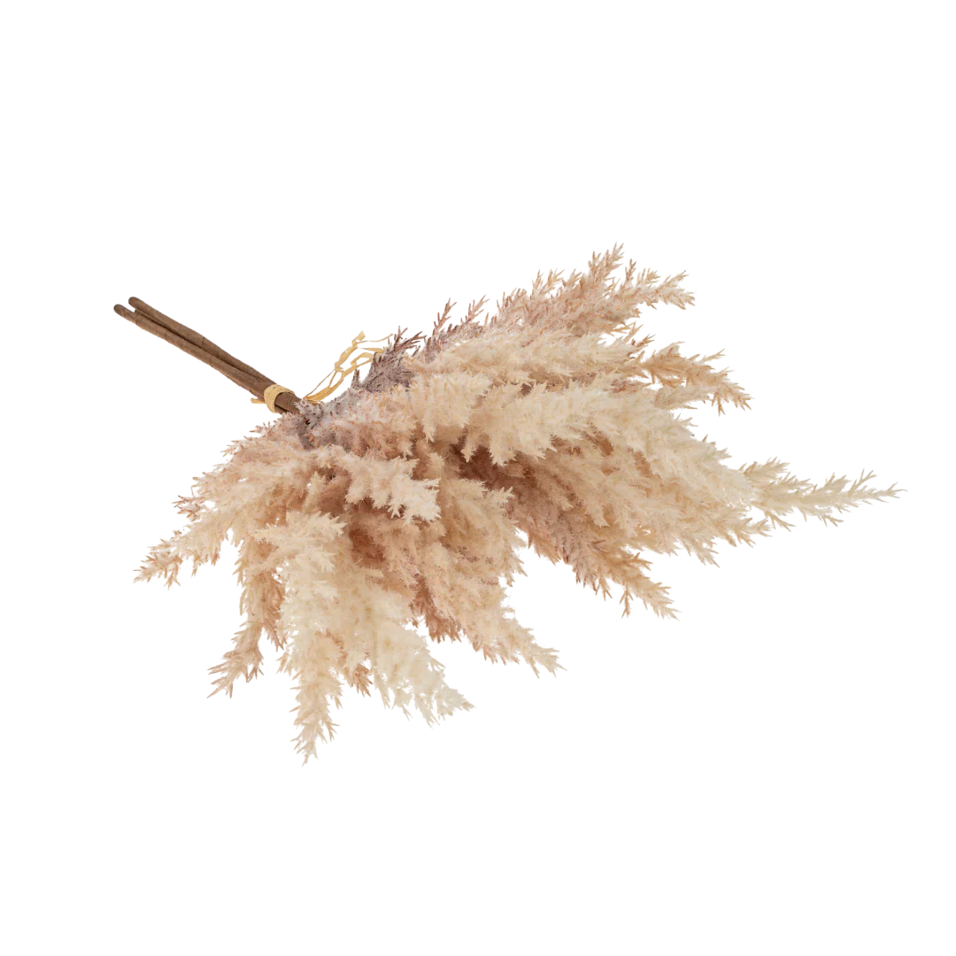 Mini Pampas Grass Bundle, Blush