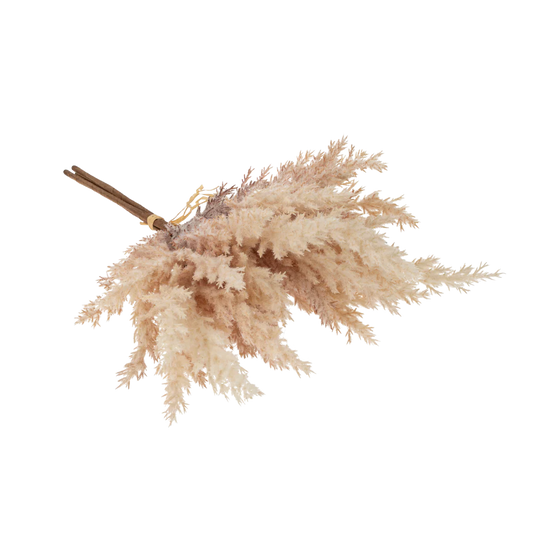 Mini Pampas Grass Bundle, Blush
