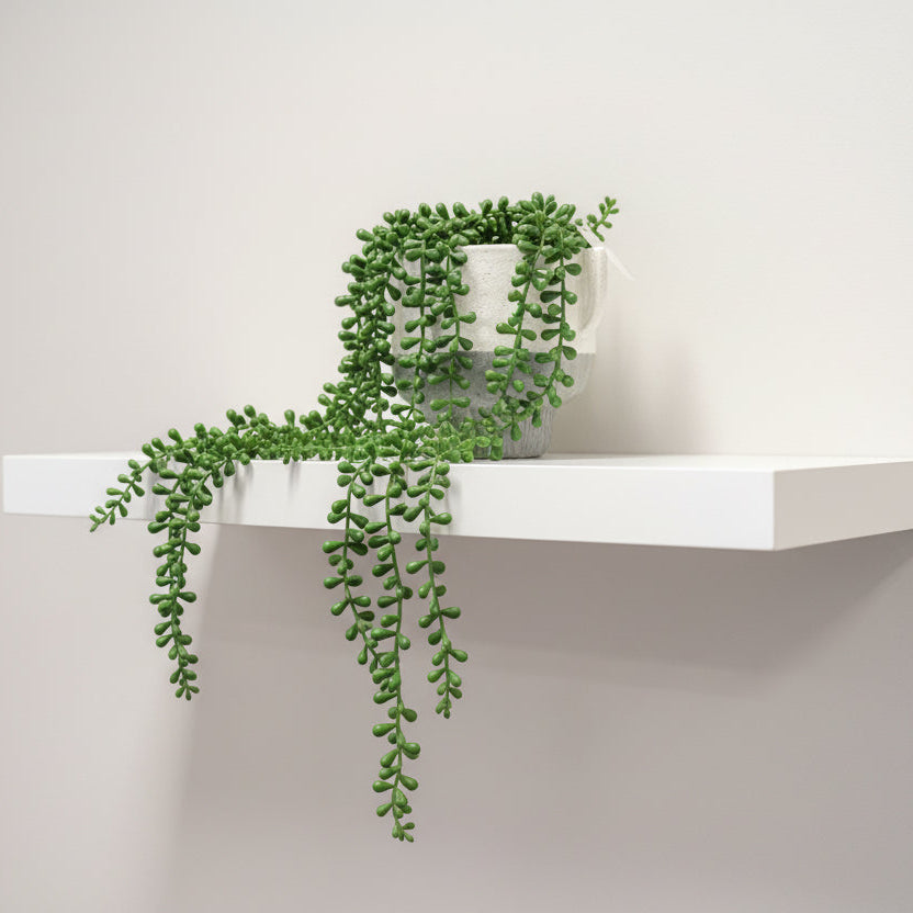 Grey / Beige Concrete Planter with Greenery