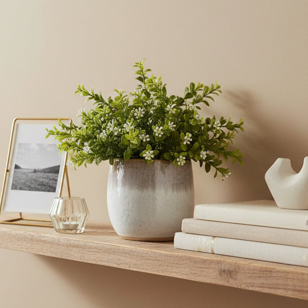 Two Tone Ceramic Planter