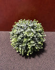 Round Shaped Artificial Greenery