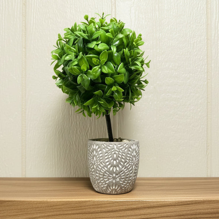 Boxwood Ball Tree in Grey Textured Pot