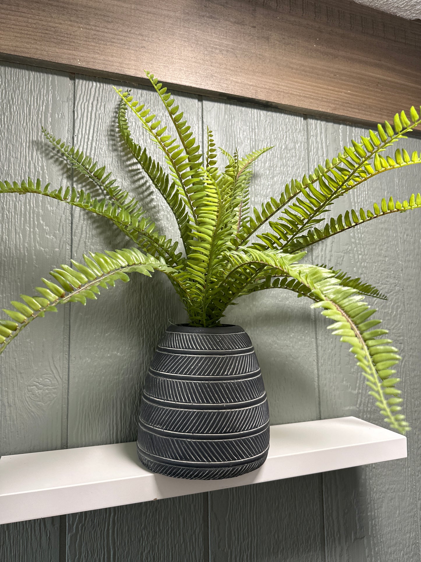 Black Textured Pot with Fern