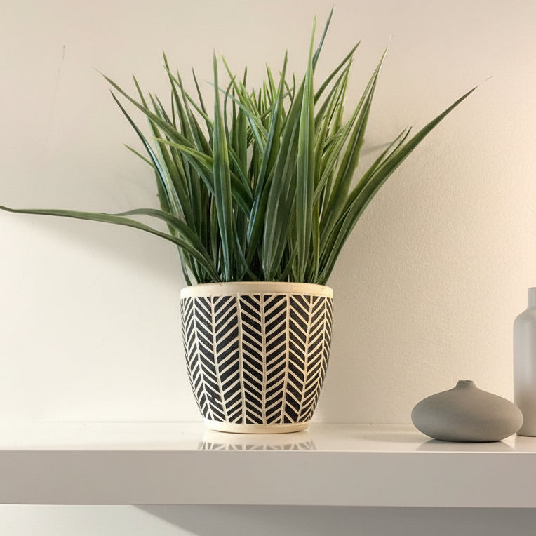 Grass plant black & white pot