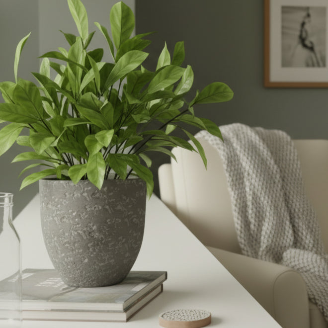 Concrete Gray Planter