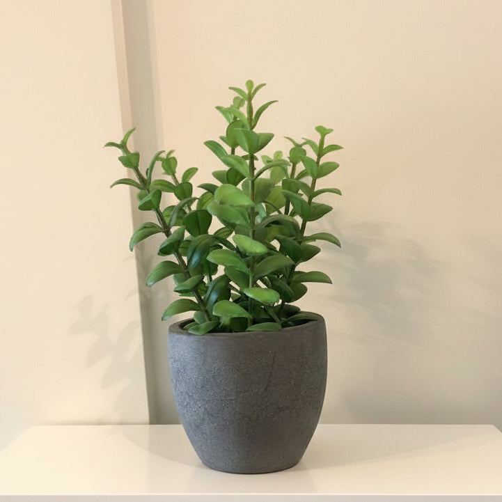 Grey concrete planter with Greenery