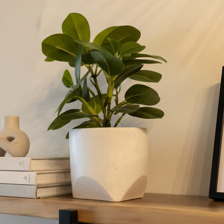 White Ceramic Planter with Greenery