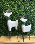 White Woodland Reindeer