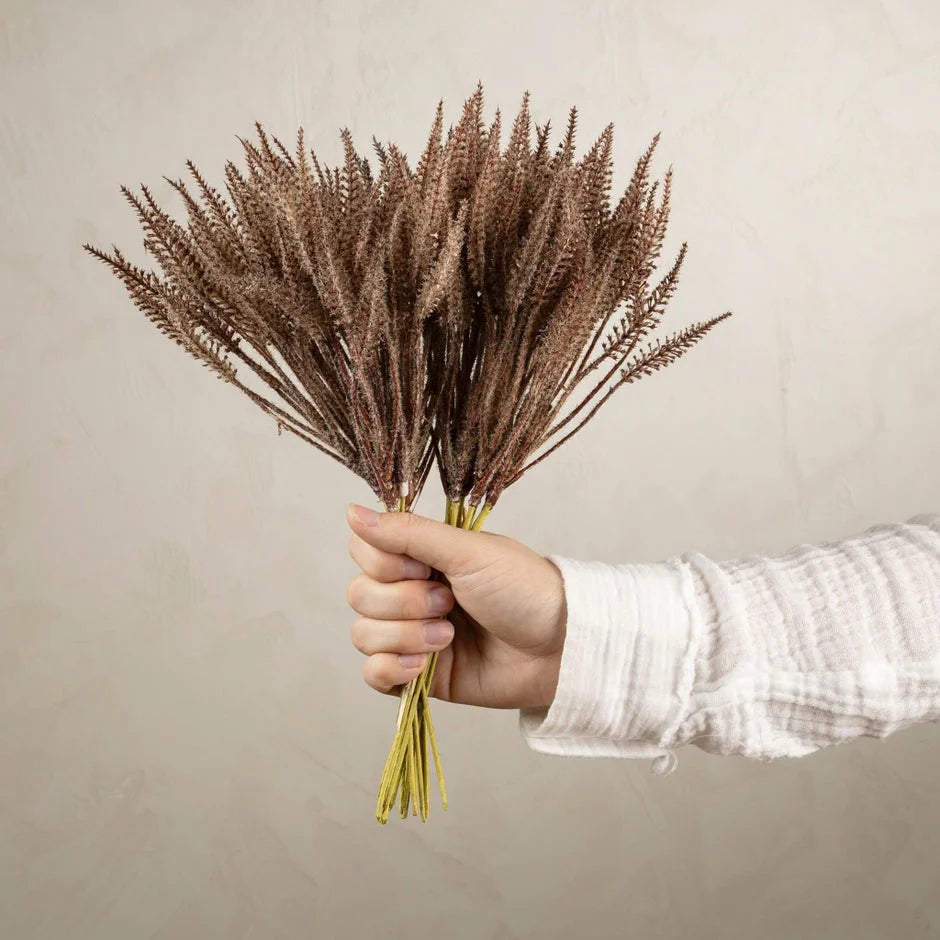 Mini Pampas Grass Bundle, Brown