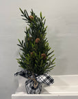 Mini Pine Tree with Pinecones & Buffalo Plaid Base