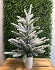 Frosted Evergreen Tabletop Trees – 3 Styles