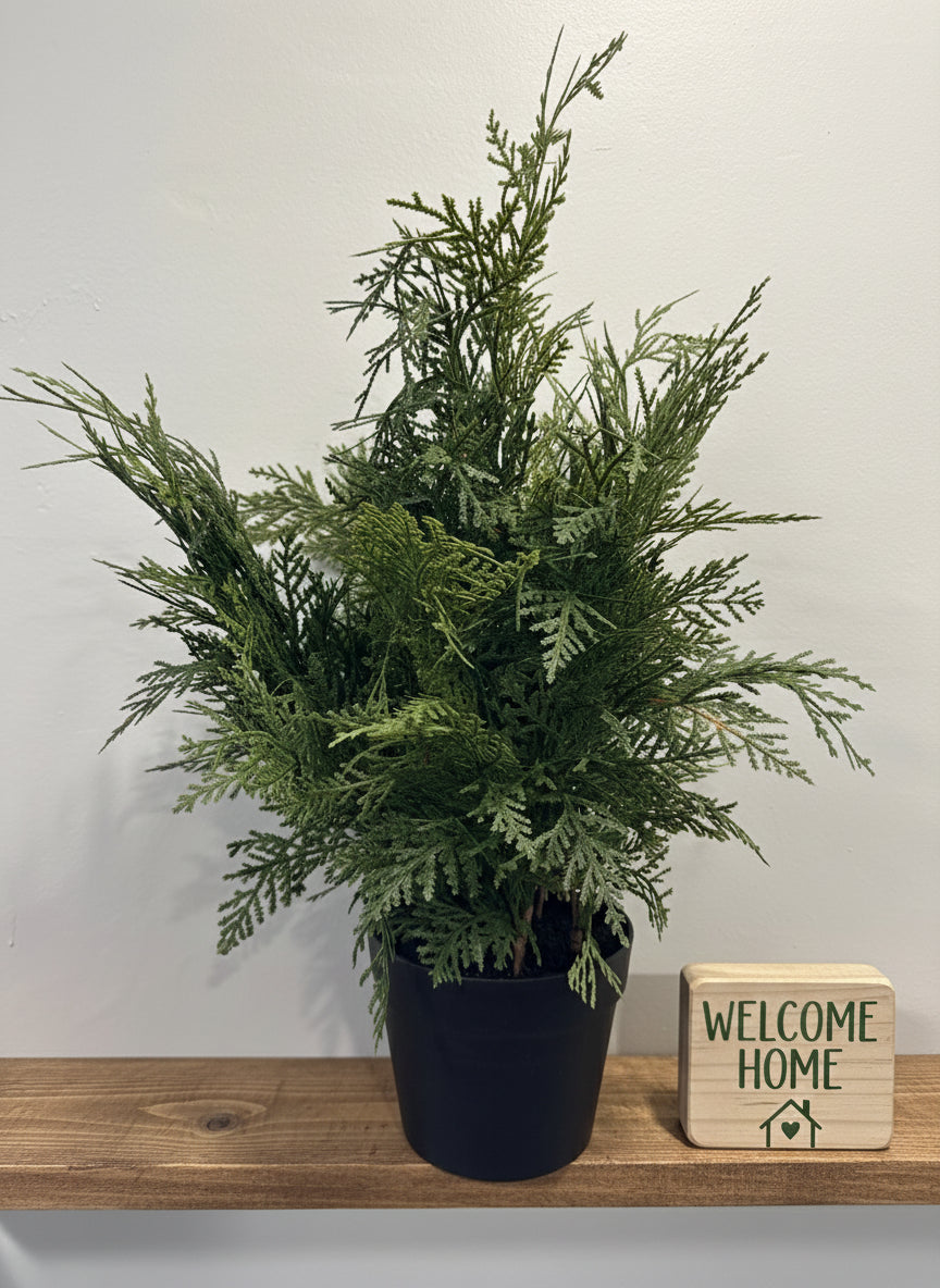 Potted Faux Cedar Greenery