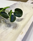 Paulowina Wood Bowl/Scoop