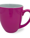 Custom Polar Camel Ceramic 16oz Mug