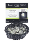 Lucky Little Firefly Pocket Charm