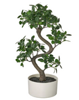 Artificial Potted Plants