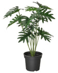 Artificial Potted Plants