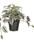 Artificial Potted Plants