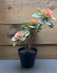 Artificial Potted Plants