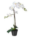 Artificial Potted Plants