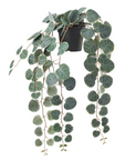 Artificial Potted Plants