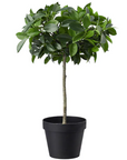 Artificial Potted Plants