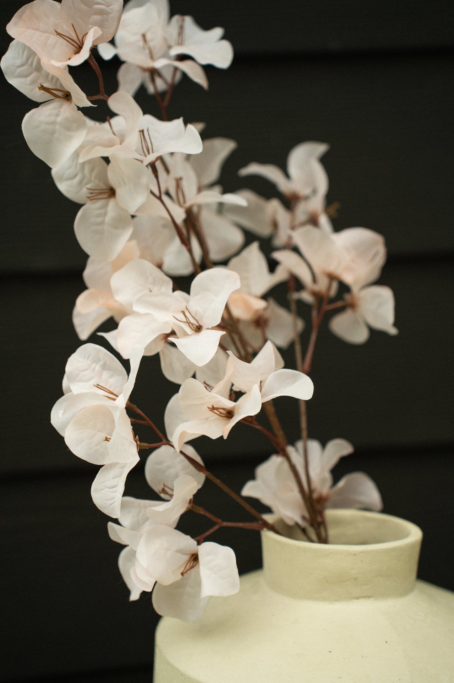 Bougainvillea Spray, Light Pink
