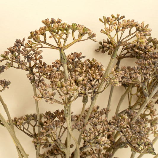 Meadow Grass Bouquet, Autumn