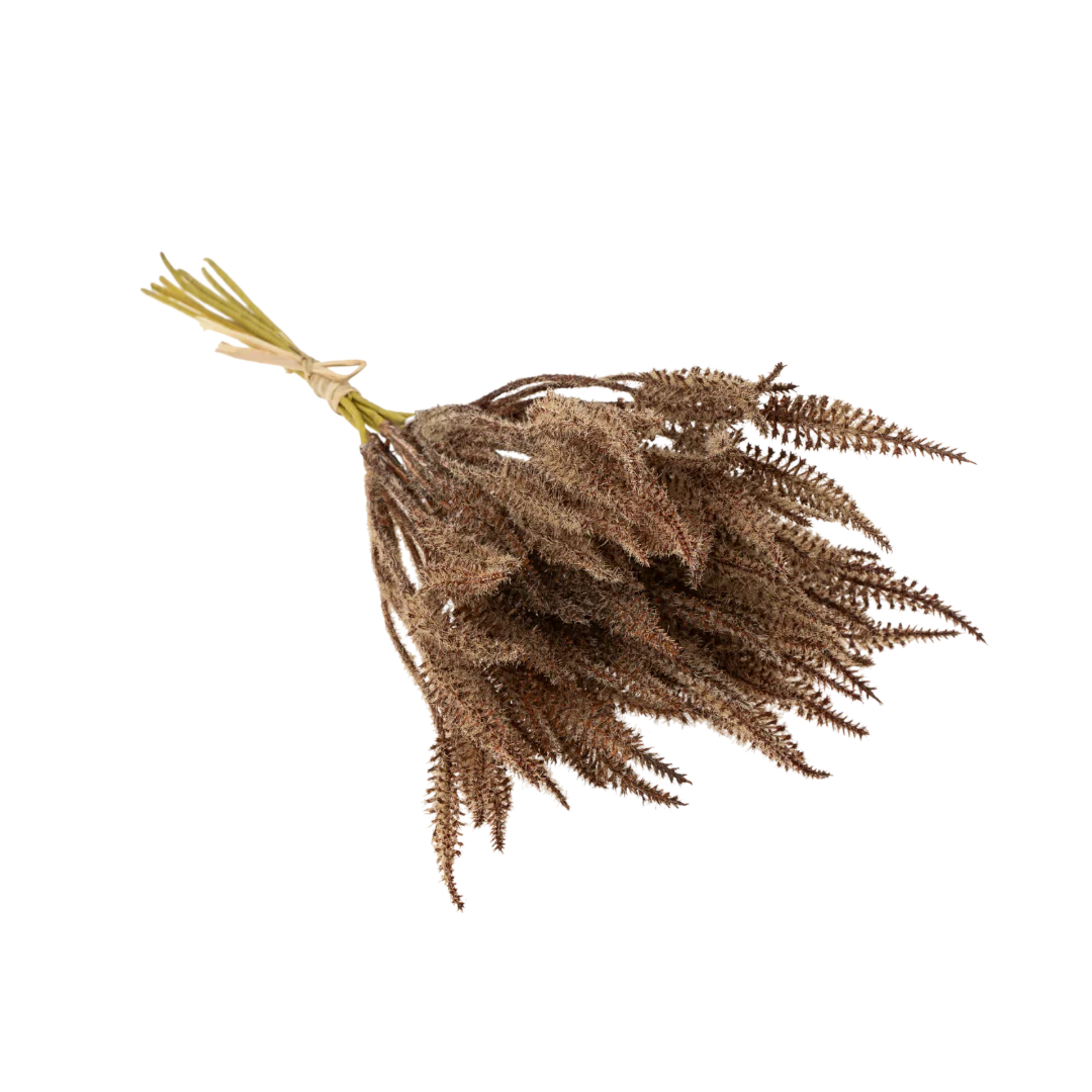 Mini Pampas Grass Bundle, Brown