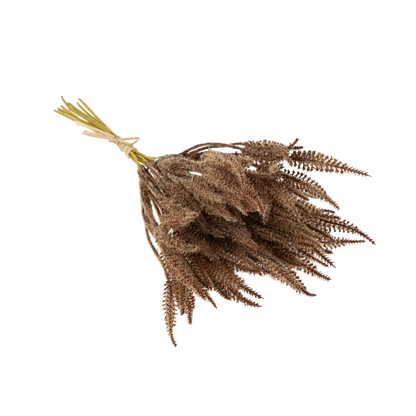 Mini Pampas Grass Bundle, Brown