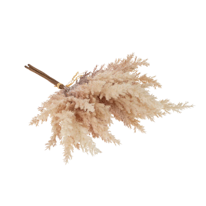 Mini Pampas Grass Bundle, Blush