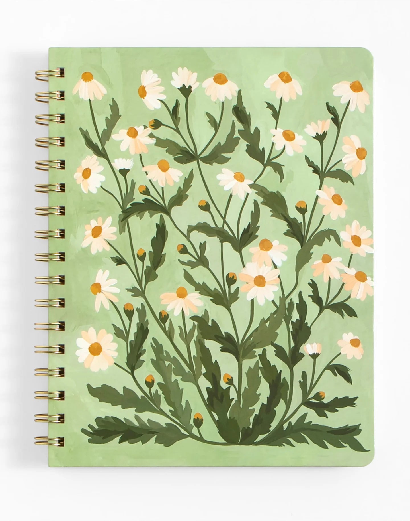 1Canoe2 Spiral Notebooks