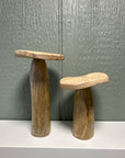 Wooden Mushroom Set