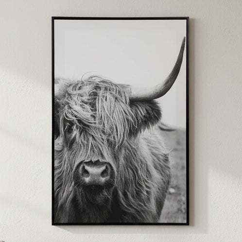 Highland Cow Black & White Framed Wall Art