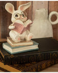 Rabbit Sitting On Books