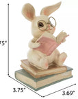 Rabbit Sitting On Books