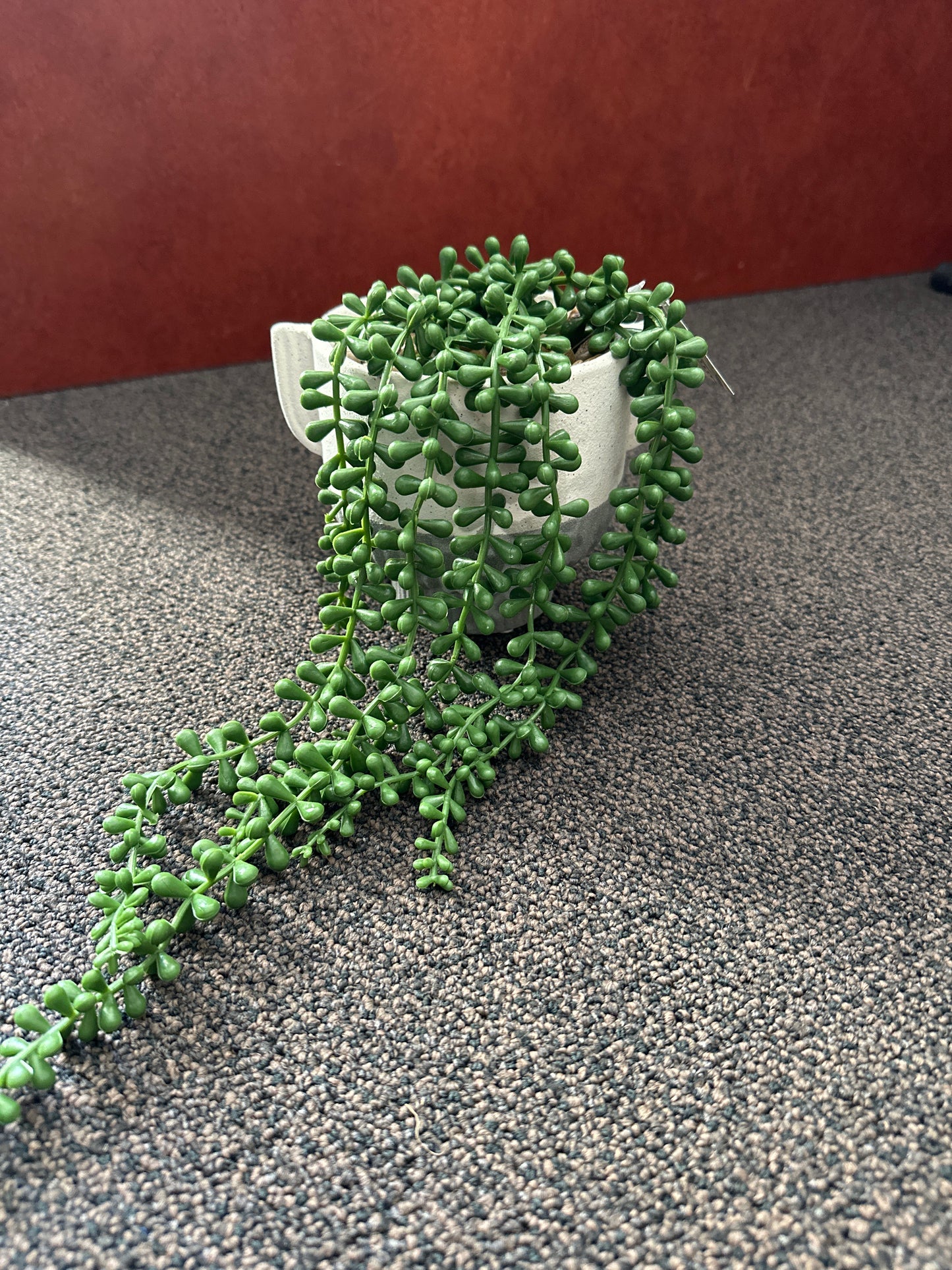 Grey / Beige Concrete Planter with Greenery