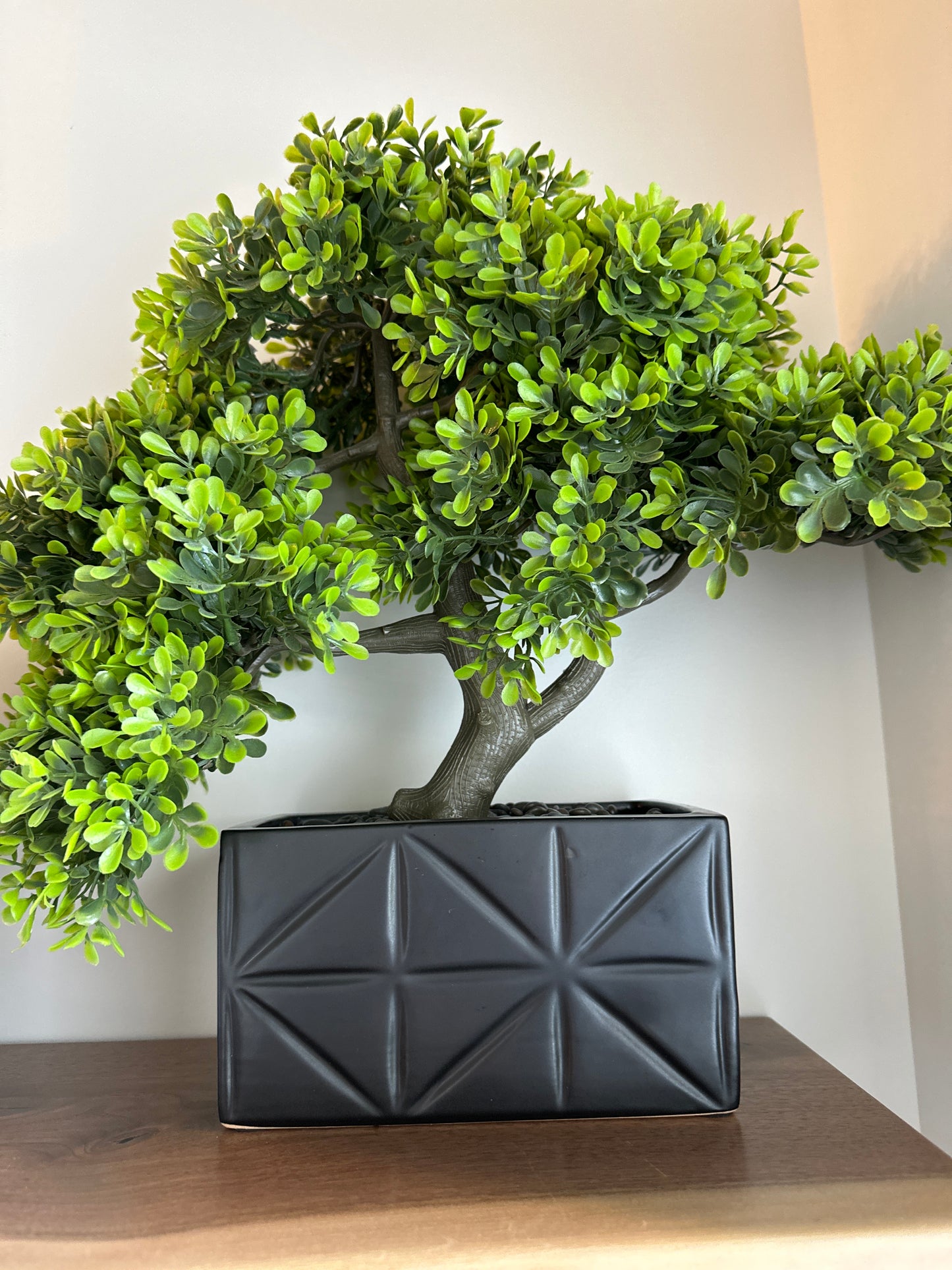 Bonsai Tree in Square Vase