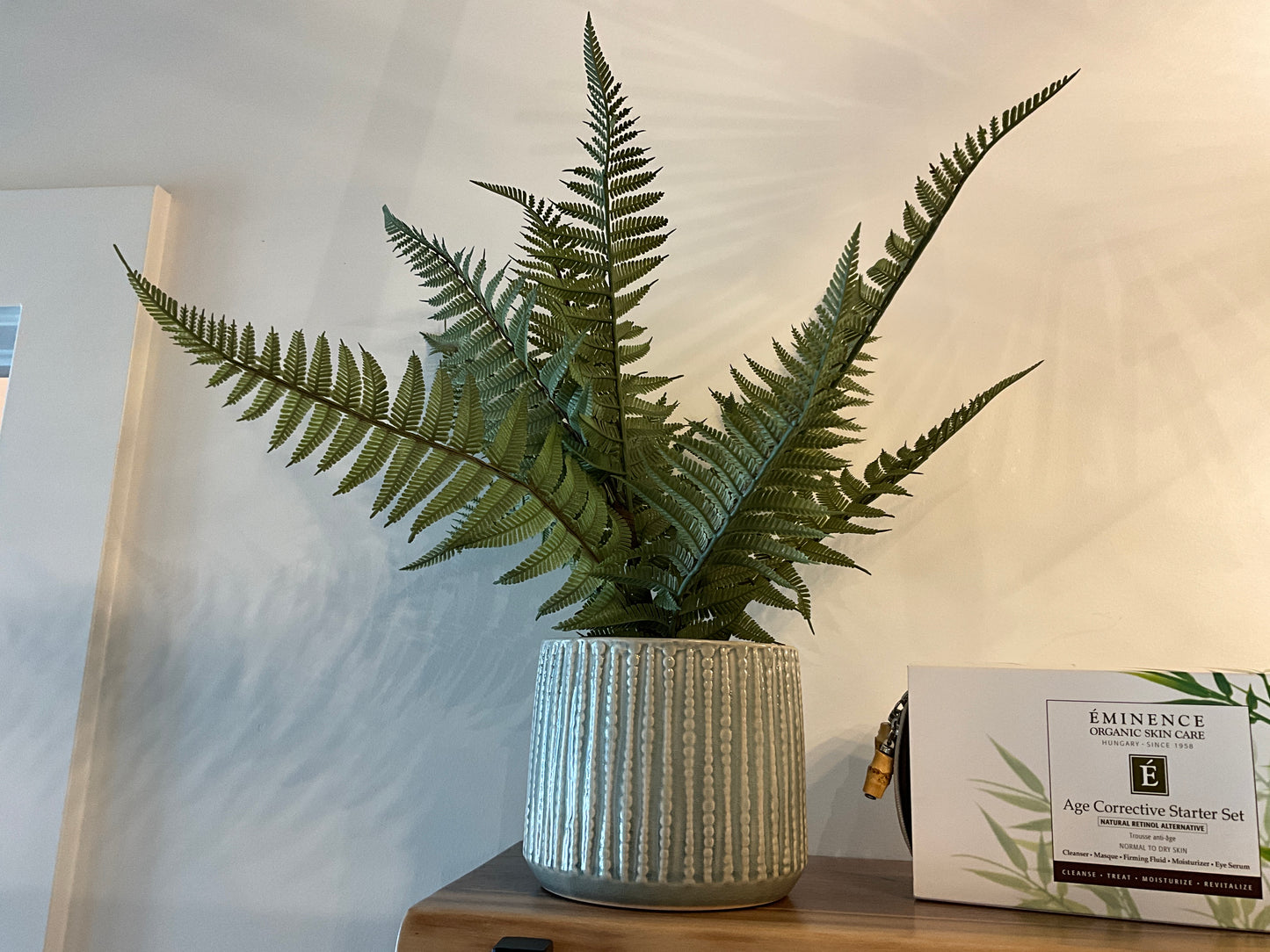 Fern in a Green Pot