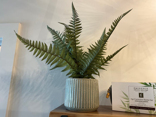 Fern in a Green Pot