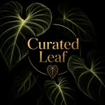 Curated Leaf
