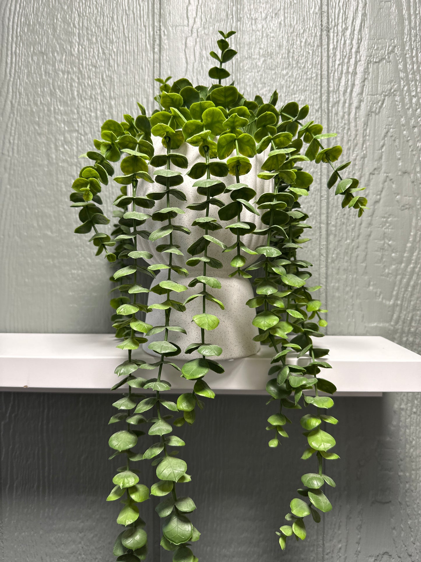 Concrete Urn with Hanging Eucalyptus