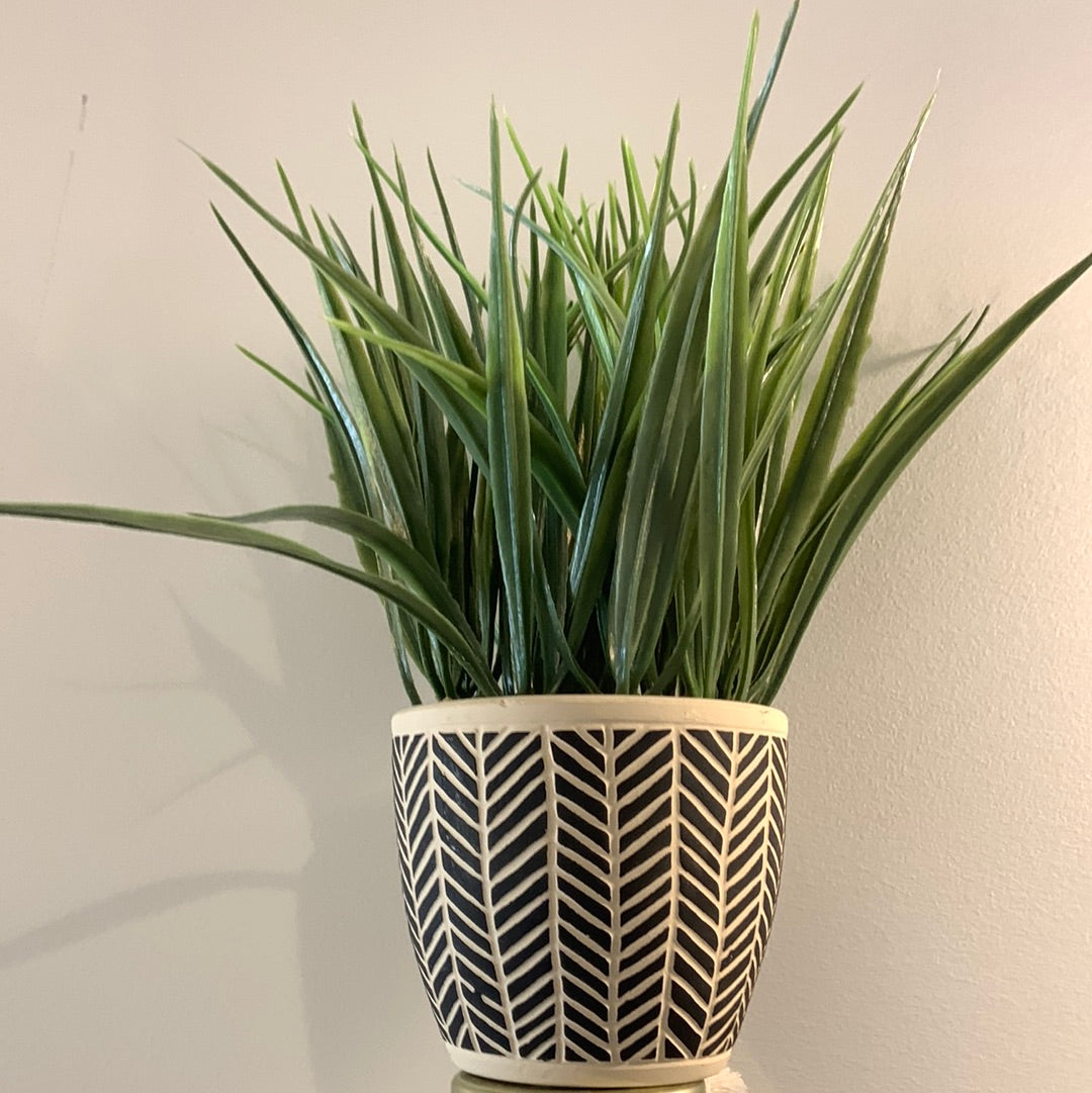 Grass plant black & white pot