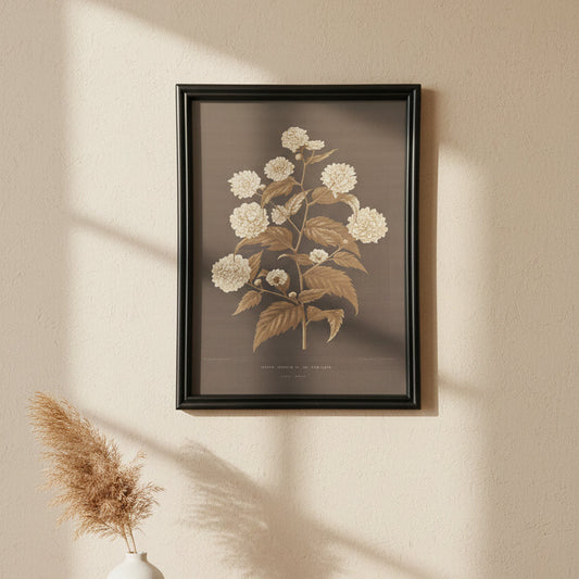 Botanical Black Framed Art