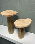 Wooden Mushroom Set