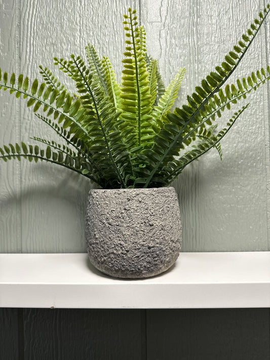 Grey Concrete Planter