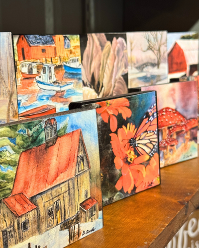 Shelfies By Doris