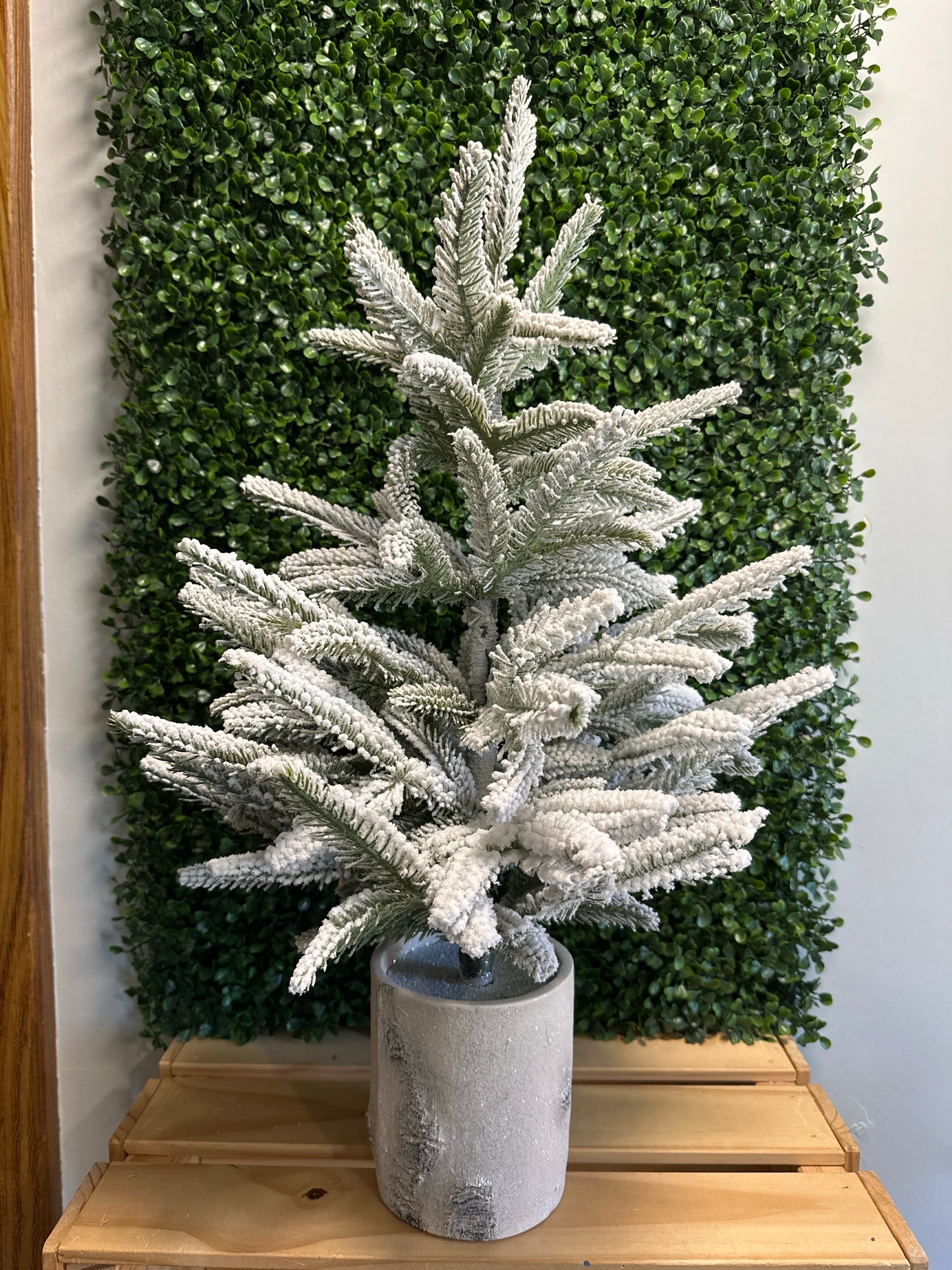 Frosted Evergreen Tabletop Trees – 3 Styles