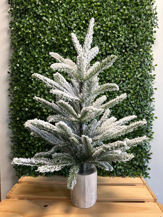 Frosted Evergreen Tabletop Trees – 3 Styles