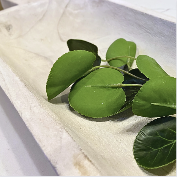 Paulowina Wood Bowl/Scoop